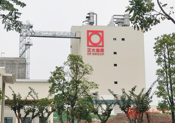 �Lɳ���󼯈F����V�� LED��¶����l(f��)���ְ��bʩ��