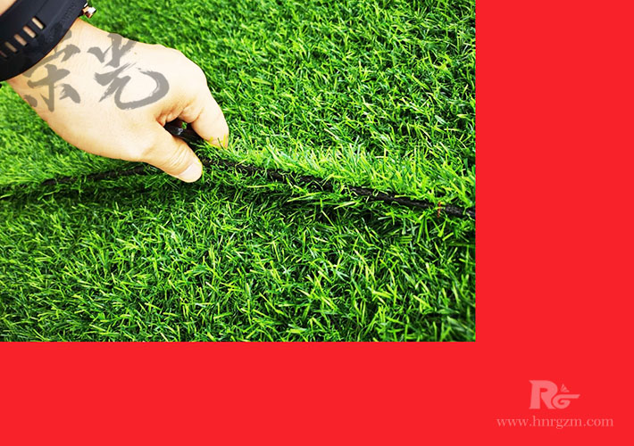 �L(zh��ng)ɳ�Gֲ��